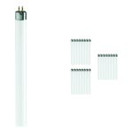 Voordeelpak 25x Philips TL Mini 8W 830 Super 80 (MASTER) | 29cm - Warm Wit