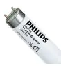 Philips MASTER TL - D Graphica 18W - 950 Koel Wit | 60cm