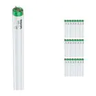Voordeelpak 25x Philips MASTER TL-D Actinic BL 18W - Ultraviolet | 60cm